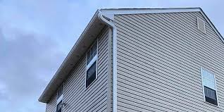 Best Siding Painting and Refinishing  in Orlando, FL